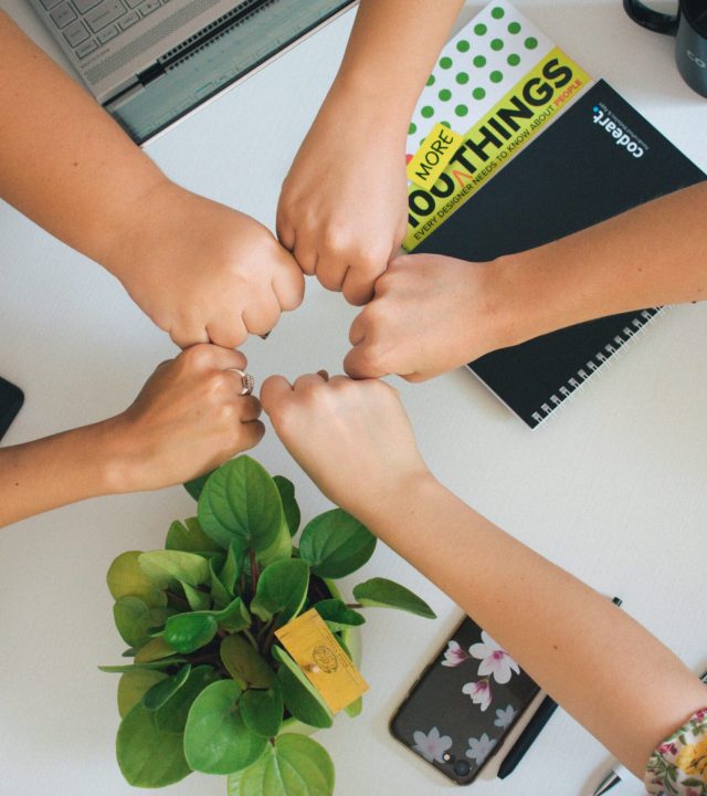 antonio janeski chvtt0agbx0 unsplash (1)